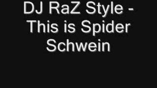DJ RaZ Style - This is Spider Schwein