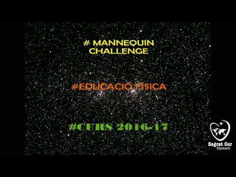 Mannequin Challenge 6è