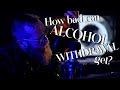 Severe Alcohol Withdrawal A Day By Day Account Of My Experience