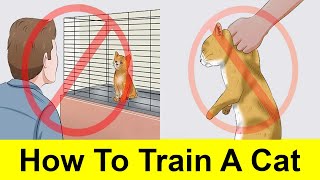 How To Train A Cat Easily