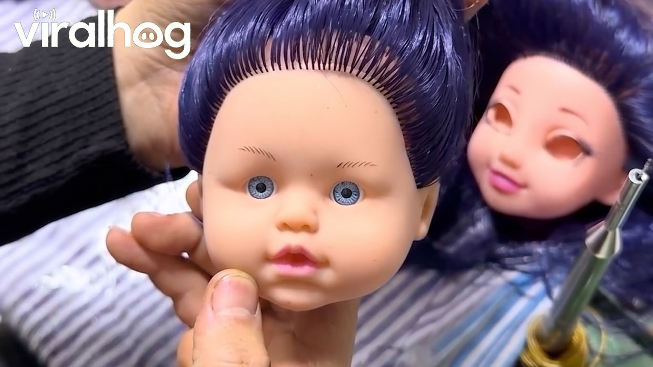 Blue Hair for a Doll || ViralHog