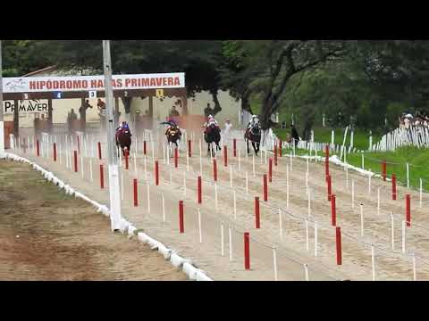 Final XIII GP HARAS PRIMAVERA,15/03/2020