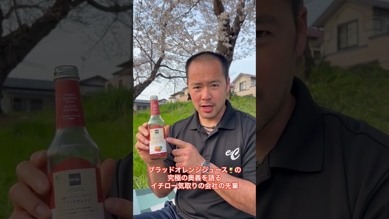 ブラッドオレンジジュースの究極の奥義を語る#イチロー 気取りの会社の先輩 #shorts #モノマネ #花見 #桜