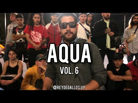 Barras Vol. 6 - AQUA