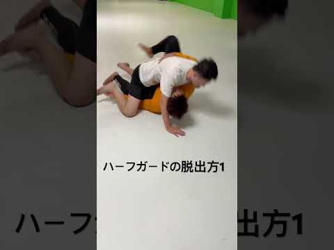 ハーフガードの脱出方1