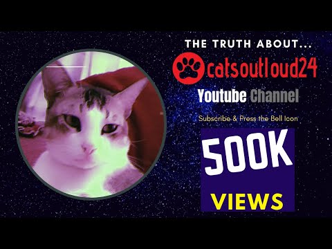 THE TRUTH ABOUT "catsoutloud24" | OFFICIAL TRAILER VIDEO
