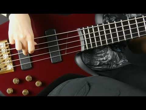 Here's the bass solo I wrote for the Davie504 Italian bass collab!🎸