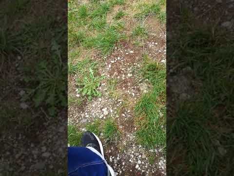 Die Mafia macht Geschäfte Mütter Mafia