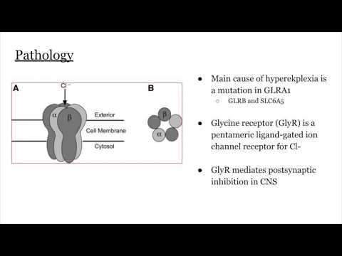 Hereditary hyperekplexia