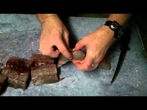 download lagu mp3 mp4 Kingfish Eating Quality, download lagu Kingfish Eating Quality gratis, unduh video klip Kingfish Eating Quality