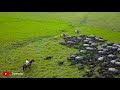 Venezuela - Luis Silva