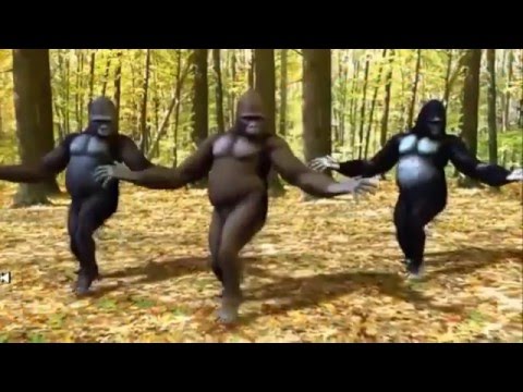 La Raspadita-Dinastia Mendoza