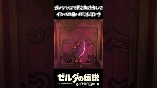世界が終わる前にインパに会いにきたリンクｗｗ【ゼルダの伝説 ブレス オブ ザ ワイルド】