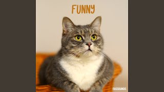 Download lagu Funny mp3