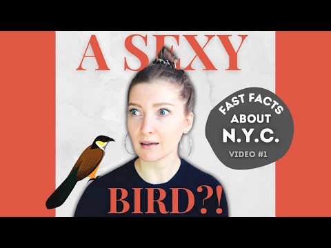 , title : 'NYC's Sexiest Bird | Fast Facts about NYC #shorts'