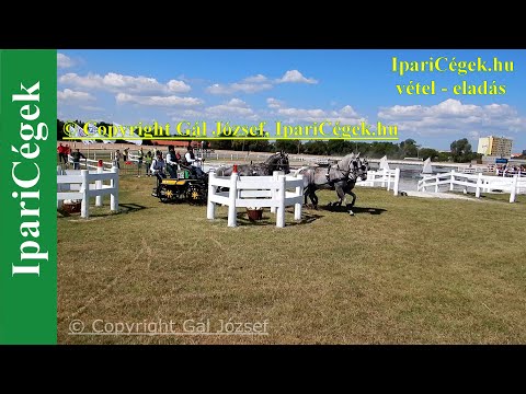 Fogathajtás, RAKOCZI Gergo (42), ROU, 6s, Marathon, 4K, Bp., 2021., sv4K210904-3-1259-220111