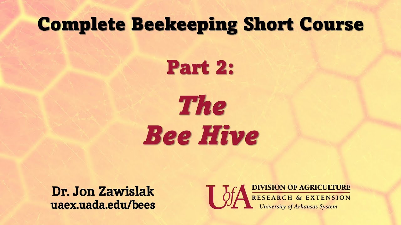 Part 2: The Beehive