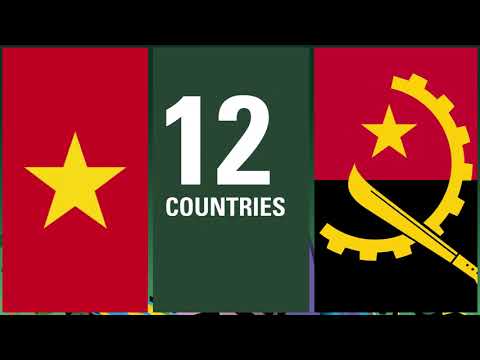 Women Afrobasket 2023 Teaser