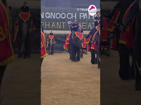 Thailand is not just a destination… it’s a celebration! | Kesari MFL | Aadesh Bandekar.