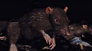 [問題] 有哪些被老鼠咬感染病毒的ACG(各作品雷)