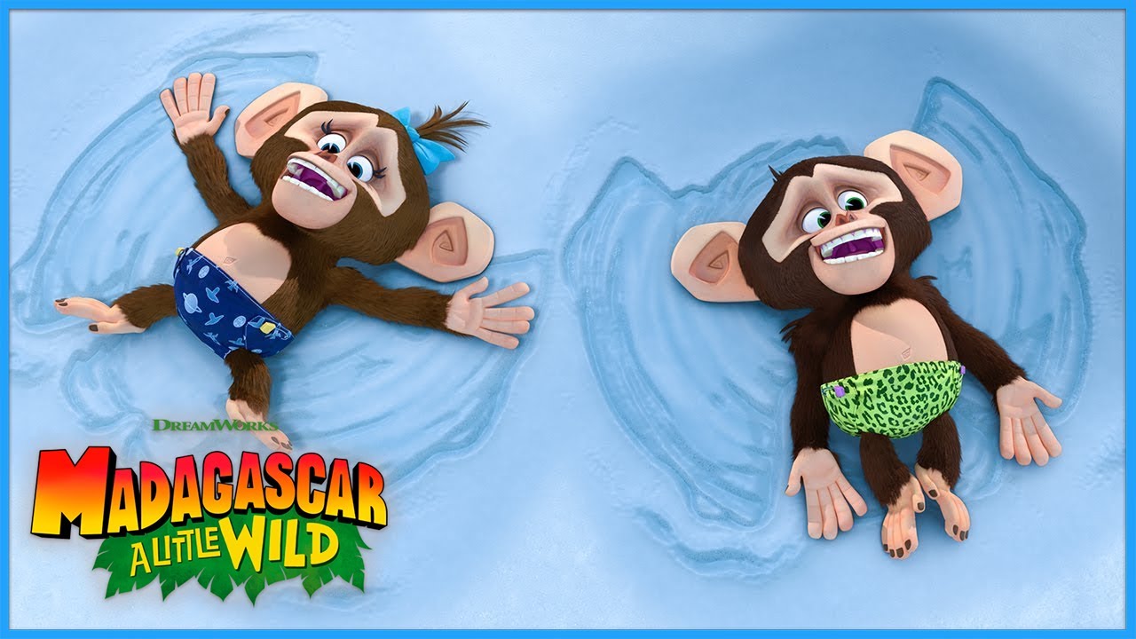 Snow at the Zoo! ❄️ ❄️ | DreamWorks Madagascar | Madagascar: A Little Wild