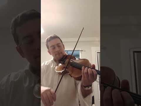 Alessandro Bertoli 4/4 Full size violin 2018 plus g Werner pernambuco bow and old case image 26