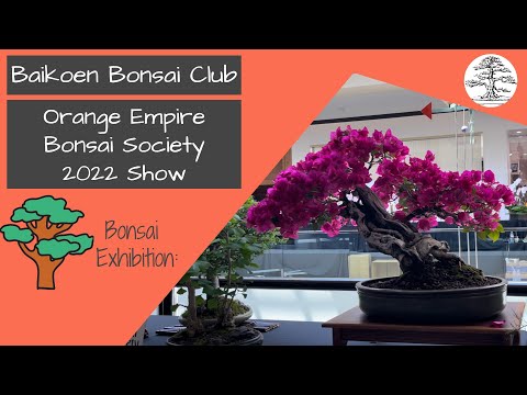 Orange Empire Bonsai Society (OEBS) 2022 Show - Baikoen Bonsai Club - Safer @ Home Bonsai Series