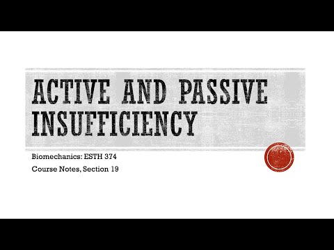 Active and Passive Insufficiency - Biomechanics