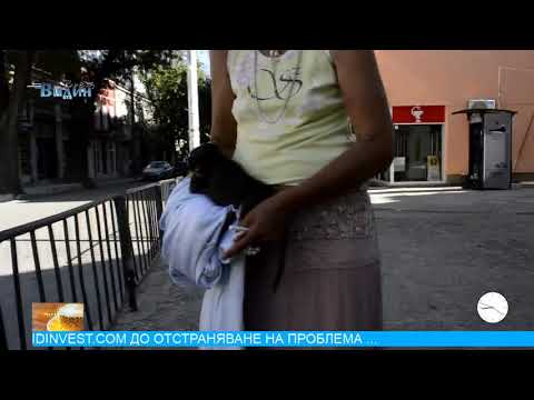 Видин Вест: След Враца - агресивната жена, прекарала години в психиятрия се засели във Видин