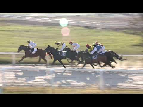 2020.11.29. 07. futam - NYERETLENEK VERSENYE (V.kat.) (szintetikus pálya)