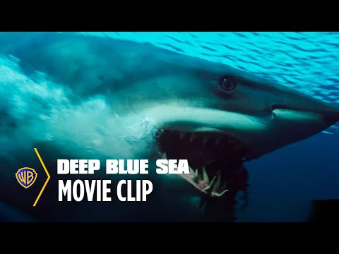 Deep Blue Sea | Shark Escape | Warner Bros. Entertainment