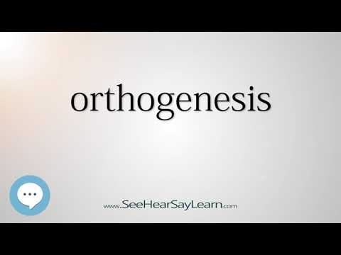 orthogenesis - Smart & Obscure English Words Defined 👁️🔊🗣🧠✅
