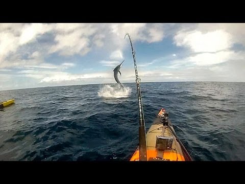 Catching Marlin from a kayak, Coffs harbour