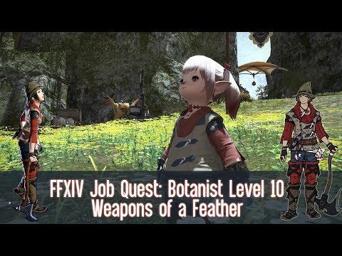FFXIV Botanist (BTN) Job Quest: Level 10 - Weapons of a Feather