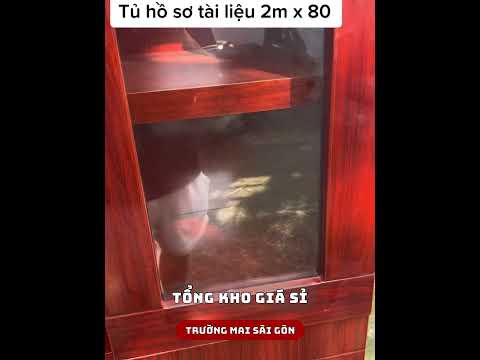 Tủ Tài Liệu Gỗ 2 Cánh Sơn PU - THS2