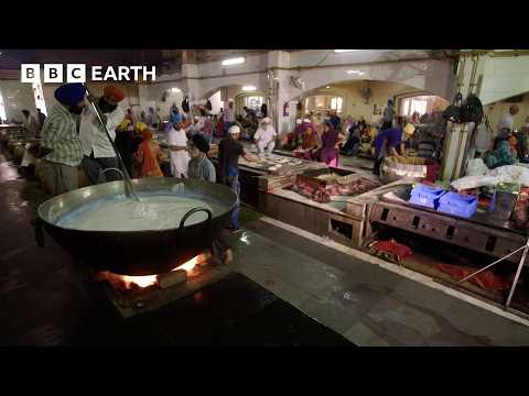 Busy Cities Of The World | BBC Earth Explore | BBC Studios