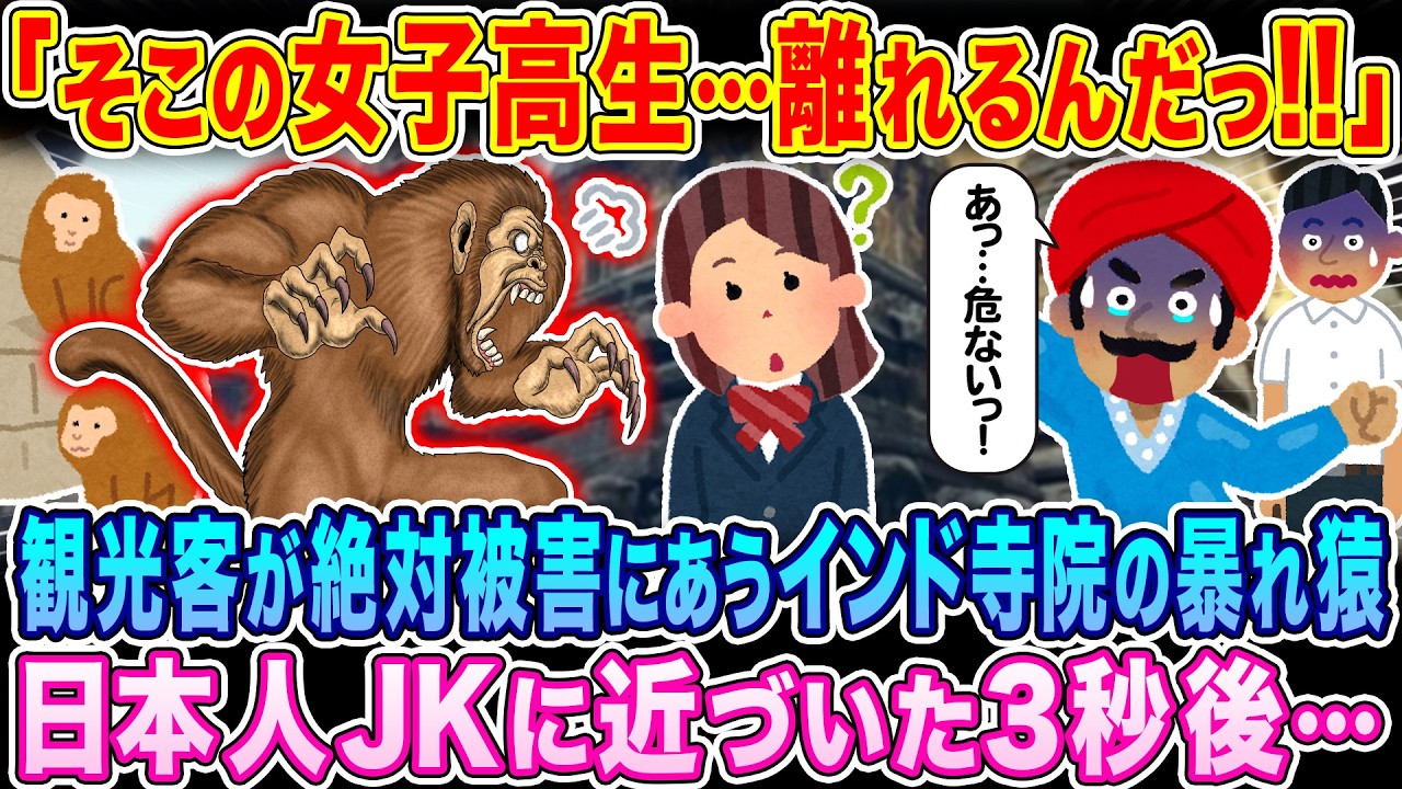 「そこの日本人…盗られるぞっ！」観光客の99%が被害に遭うインド寺院の暴れ猿、日本人JKに近づいた3秒後…【海外の反応】【ゆっくり解説】