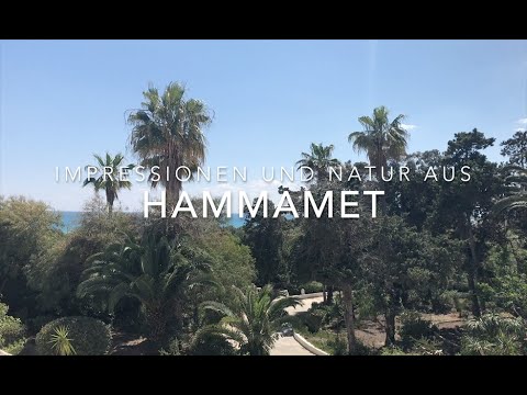 Impressionen und Natur aus Hammamet   4K