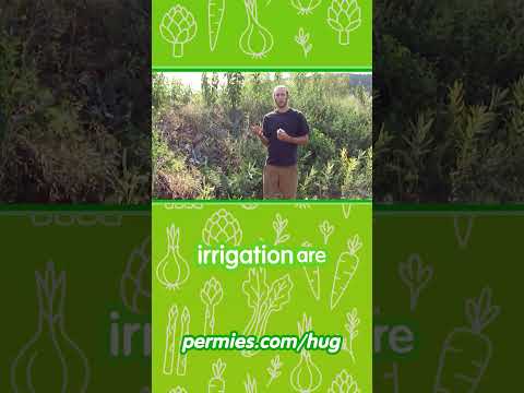 Hügelkultur: Ultimate Raised Beds, No Irrigation Gardening