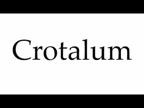 How to Pronounce Crotalum