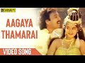 Aagaya Thamarai Video Song Nadodi Pattukkaran Karthik Ilaiyaraaja S Janaki