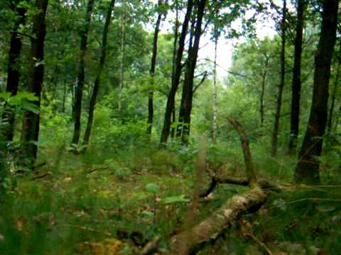 oddworld abe's exoddus soundtrack main menu (L.L)