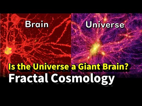 Amazing Similarities Between the Brain and the Universe? Fractal Cosmology