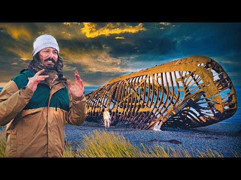 Došao sam do KRAJA SVETA : Ovo je Ognjena zemlja