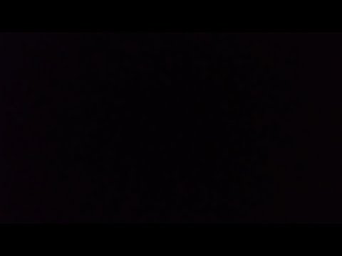 They Goodness: Malena Perez