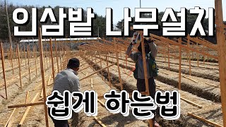 인삼밭 나무설치 쉽게하는방법, 지주목설치 - ginseng