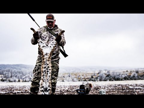 Calling Big Bobcats, Bobcat calling Missouri