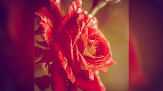 aliside  husiyagide  kannada song