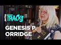 Genesis P-Orridge : occulte, musique industrielle et pandrogynie (2012) | Tracks ARTE