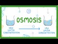 GCSE Biology - Osmosis #8